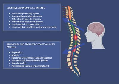 Cognitive, behavioral and psychiatric symptoms in patients with spinal cord injury: a scoping review
